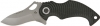 Mantis Kunitza Folder, gestrahlt